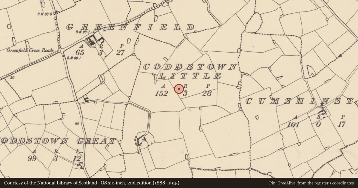Ordnance Survey six-inch map, 2nd edition (1888–1915) covering the location of Enclosure, Coddstown Little, County Wexford, with a pin at the register's coordinates