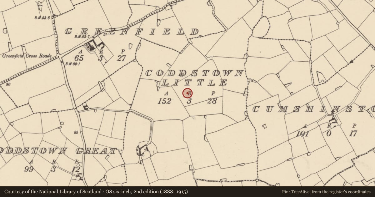 Ordnance Survey six-inch map, 2nd edition (1888–1915) covering the location of Ringfort - rath, Coddstown Little, County Wexford, with a pin at the register's coordinates