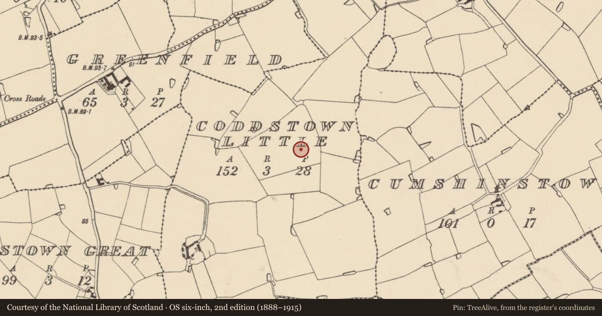 Ordnance Survey six-inch map, 2nd edition (1888–1915) covering the location of Ring-ditch, Coddstown Little, County Wexford, with a pin at the register's coordinates