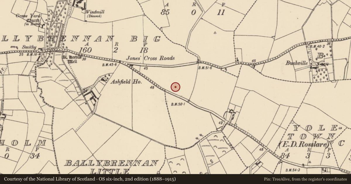 Ordnance Survey six-inch map, 2nd edition (1888–1915) covering the location of Enclosure, Ballybrennan Big, County Wexford, with a pin at the register's coordinates
