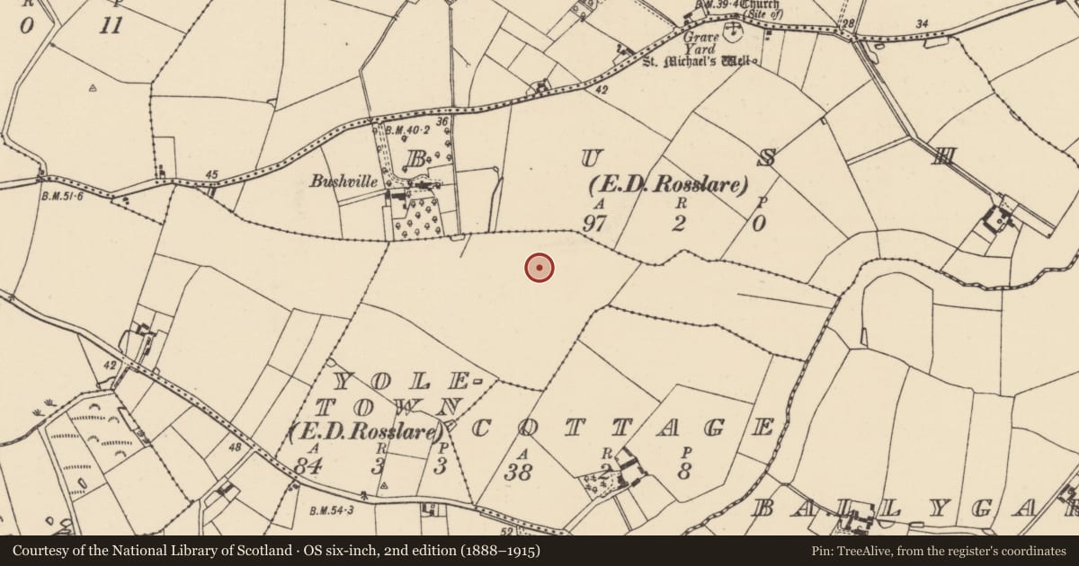 Ordnance Survey six-inch map, 2nd edition (1888–1915) covering the location of Field system, Yoletown, County Wexford, with a pin at the register's coordinates