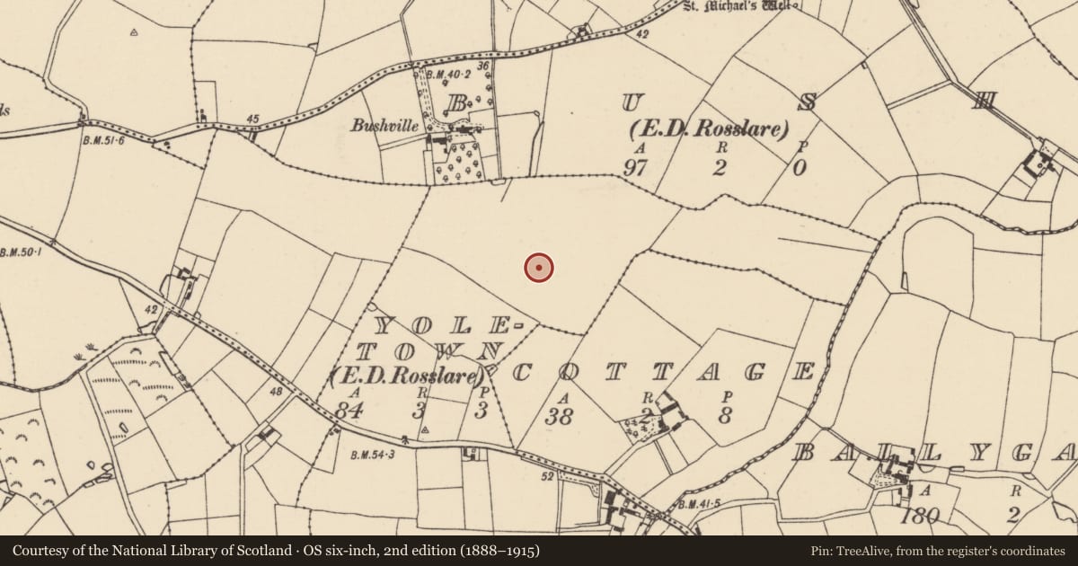Ordnance Survey six-inch map, 2nd edition (1888–1915) covering the location of Ring-ditch, Yoletown, County Wexford, with a pin at the register's coordinates