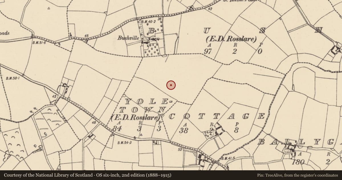 Ordnance Survey six-inch map, 2nd edition (1888–1915) covering the location of Enclosure, Yoletown, County Wexford, with a pin at the register's coordinates