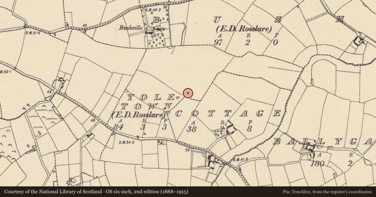 Ordnance Survey six-inch map, 2nd edition (1888–1915) covering the location of Enclosure, Yoletown, County Wexford, with a pin at the register's coordinates