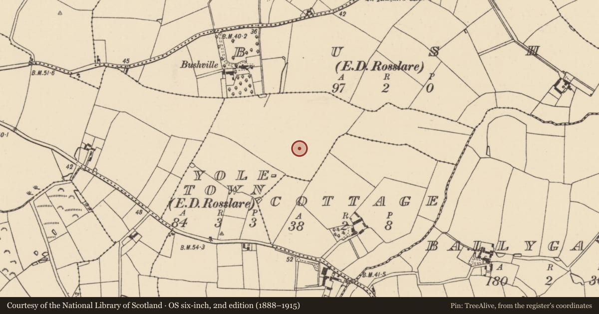 Ordnance Survey six-inch map, 2nd edition (1888–1915) covering the location of Ring-ditch, Yoletown, County Wexford, with a pin at the register's coordinates