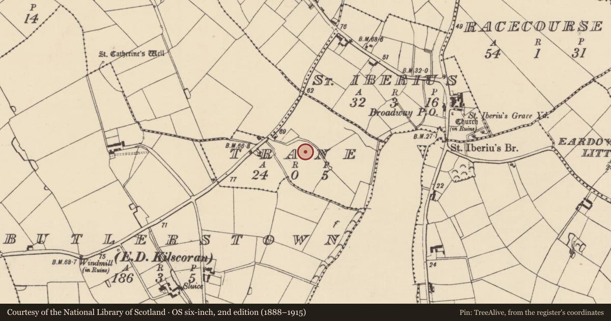 Ordnance Survey six-inch map, 2nd edition (1888–1915) covering the location of Enclosure, Trane, County Wexford, with a pin at the register's coordinates