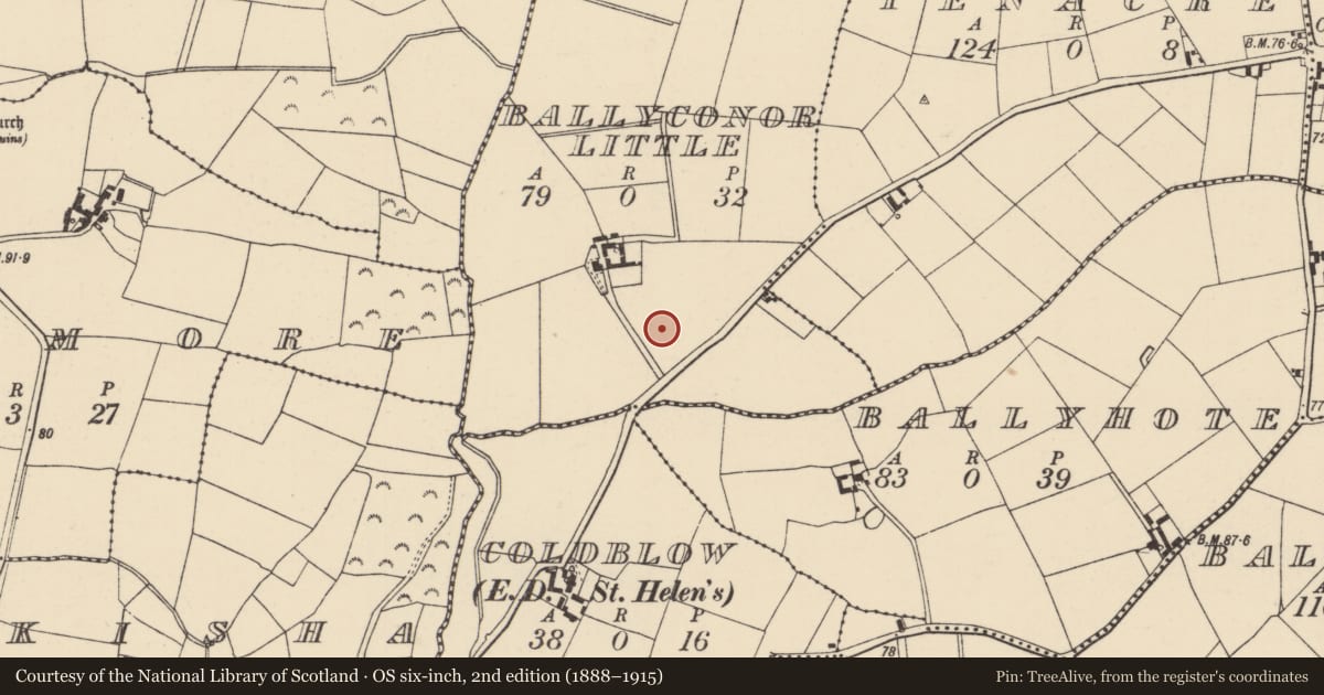Ordnance Survey six-inch map, 2nd edition (1888–1915) covering the location of Ringfort - rath, Ballyconor Little, County Wexford, with a pin at the register's coordinates
