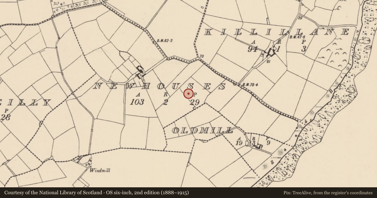Ordnance Survey six-inch map, 2nd edition (1888–1915) covering the location of Ringfort - rath, Newhouses, County Wexford, with a pin at the register's coordinates