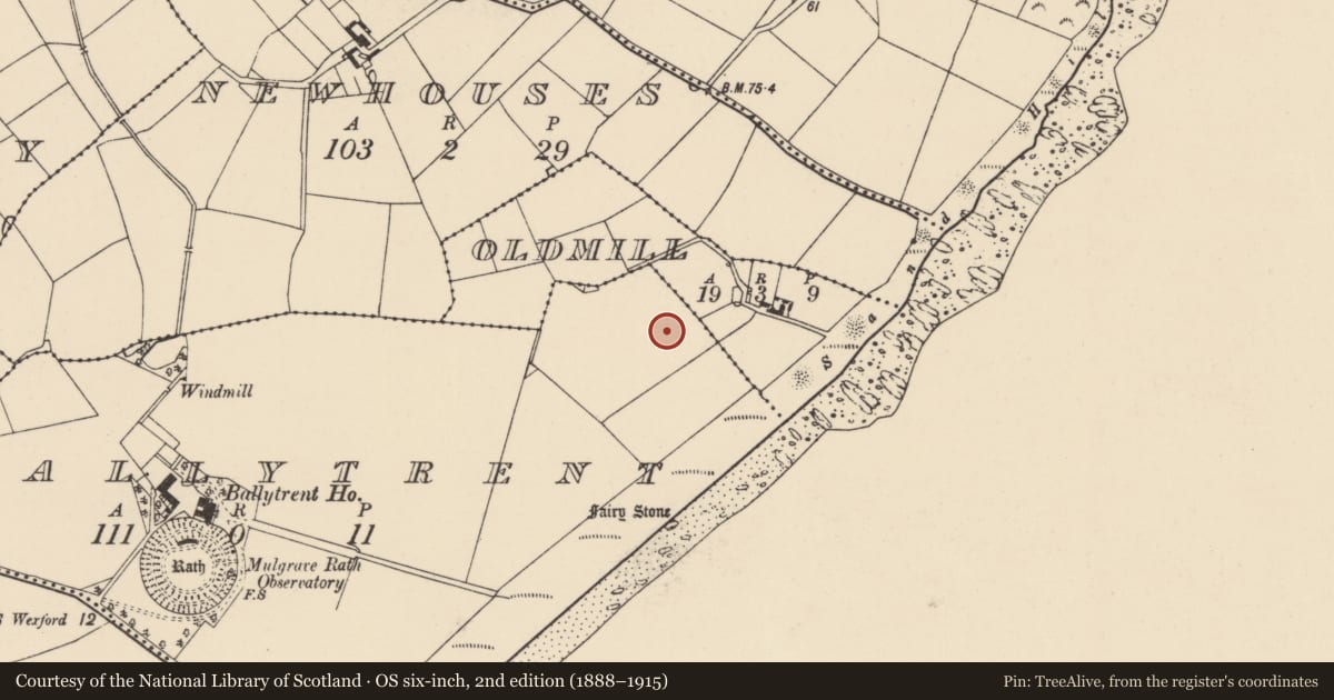 Ordnance Survey six-inch map, 2nd edition (1888–1915) covering the location of Ringfort - rath, Ballytrent, County Wexford, with a pin at the register's coordinates