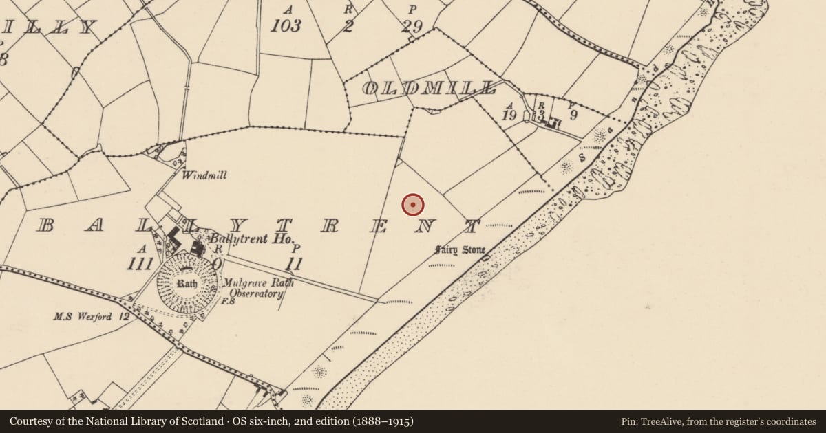 Ordnance Survey six-inch map, 2nd edition (1888–1915) covering the location of Ringfort - rath, Ballytrent, County Wexford, with a pin at the register's coordinates