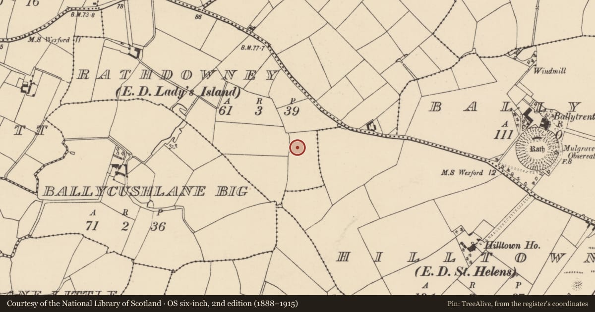 Ordnance Survey six-inch map, 2nd edition (1888–1915) covering the location of Ringfort - rath, Rathdowney, County Wexford, with a pin at the register's coordinates