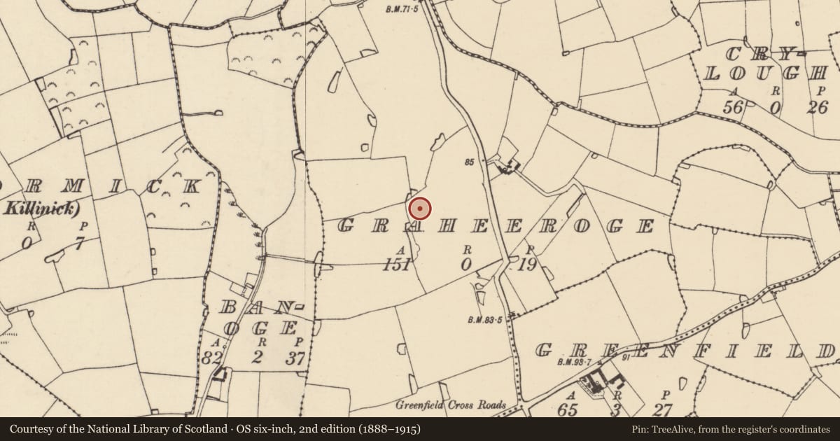 Ordnance Survey six-inch map, 2nd edition (1888–1915) covering the location of Moated site, Graheeroge, County Wexford, with a pin at the register's coordinates