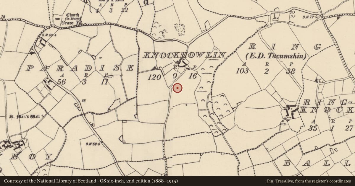 Ordnance Survey six-inch map, 2nd edition (1888–1915) covering the location of Enclosure, Knockhowlin, County Wexford, with a pin at the register's coordinates