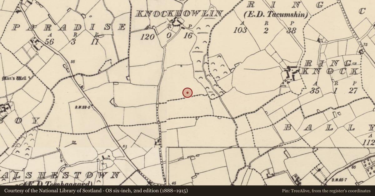 Ordnance Survey six-inch map, 2nd edition (1888–1915) covering the location of Ringfort - rath, Knockhowlin, County Wexford, with a pin at the register's coordinates