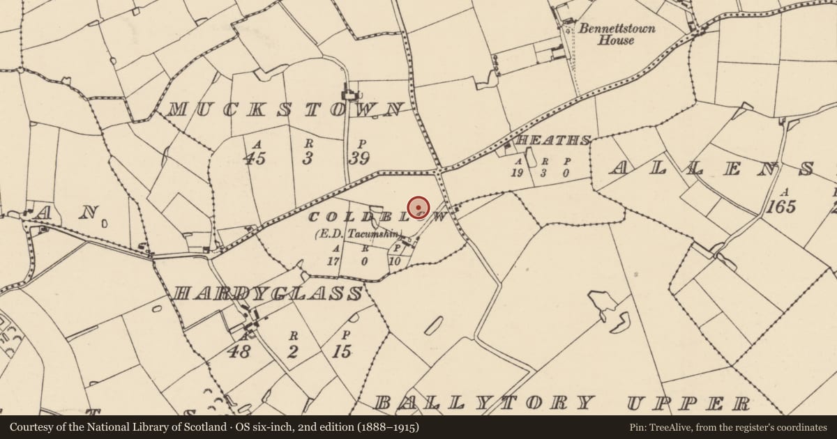Ordnance Survey six-inch map, 2nd edition (1888–1915) covering the location of Ringfort - rath, Coldblow, County Wexford, with a pin at the register's coordinates