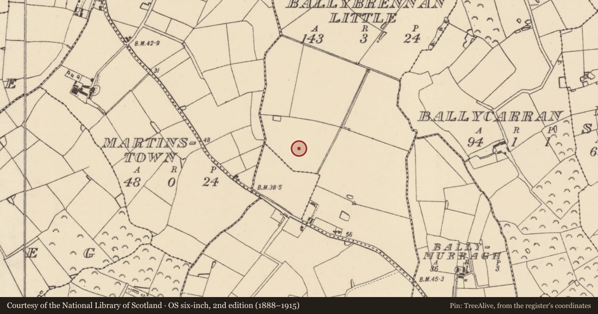 Ordnance Survey six-inch map, 2nd edition (1888–1915) covering the location of Ringfort - rath, Ballybrennan Little, County Wexford, with a pin at the register's coordinates