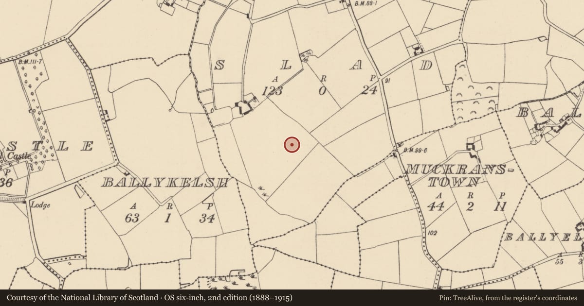 Ordnance Survey six-inch map, 2nd edition (1888–1915) covering the location of Ringfort - rath, Slad, County Wexford, with a pin at the register's coordinates