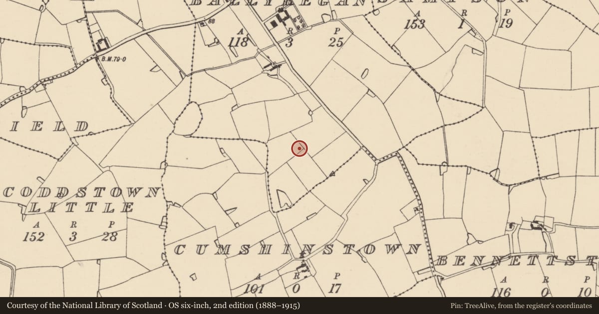 Ordnance Survey six-inch map, 2nd edition (1888–1915) covering the location of Ringfort - rath, Ballyregan, County Wexford, with a pin at the register's coordinates