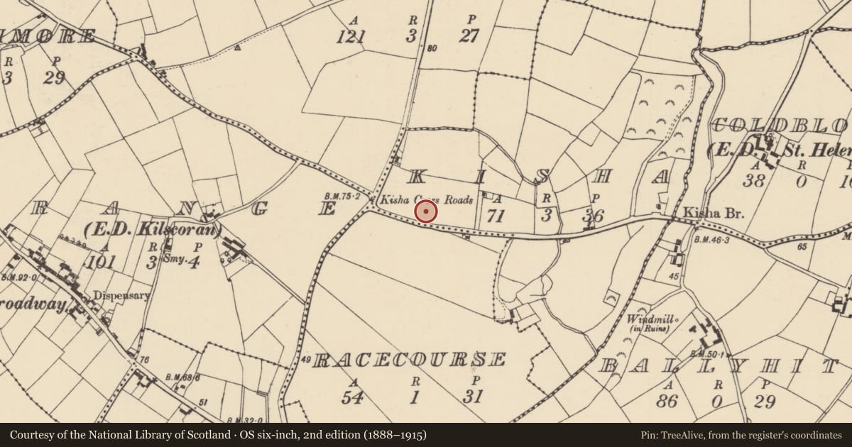 Ordnance Survey six-inch map, 2nd edition (1888–1915) covering the location of Ringfort - rath, Kisha, County Wexford, with a pin at the register's coordinates