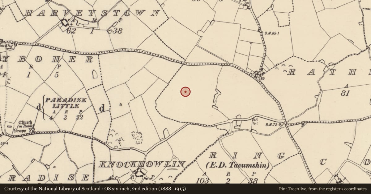 Ordnance Survey six-inch map, 2nd edition (1888–1915) covering the location of Ring-ditch, County Wexford, with a pin at the register's coordinates