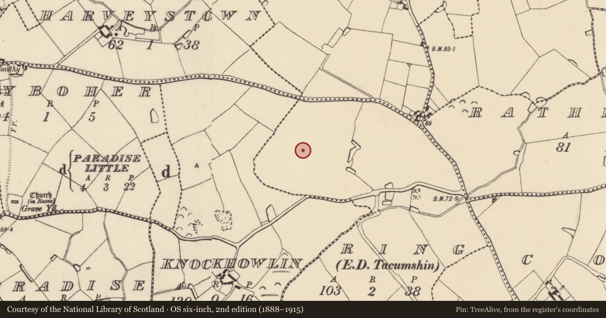 Ordnance Survey six-inch map, 2nd edition (1888–1915) covering the location of Ring-ditch, County Wexford, with a pin at the register's coordinates