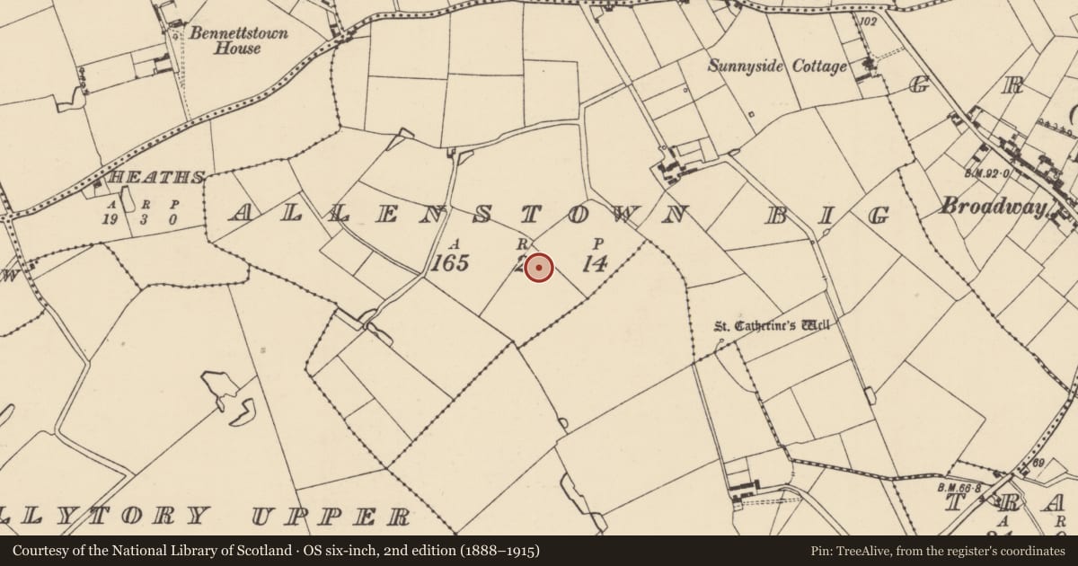 Ordnance Survey six-inch map, 2nd edition (1888–1915) covering the location of Ringfort - rath, Allenstown Big, County Wexford, with a pin at the register's coordinates
