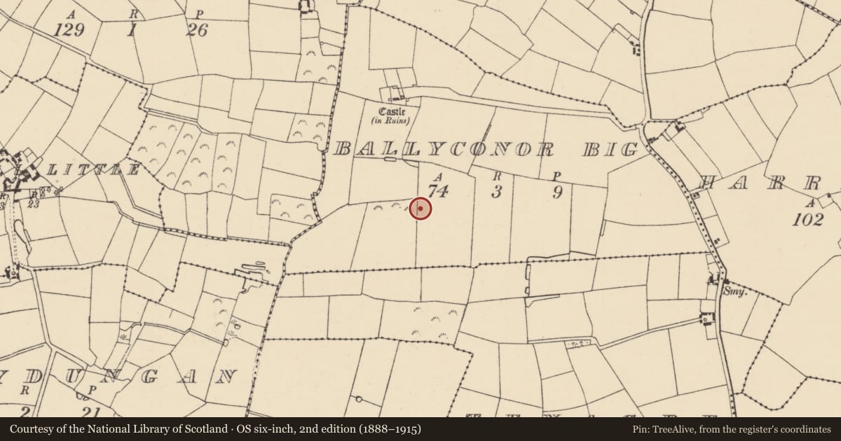 Ordnance Survey six-inch map, 2nd edition (1888–1915) covering the location of Ringfort - rath, Ballyconor Big, County Wexford, with a pin at the register's coordinates