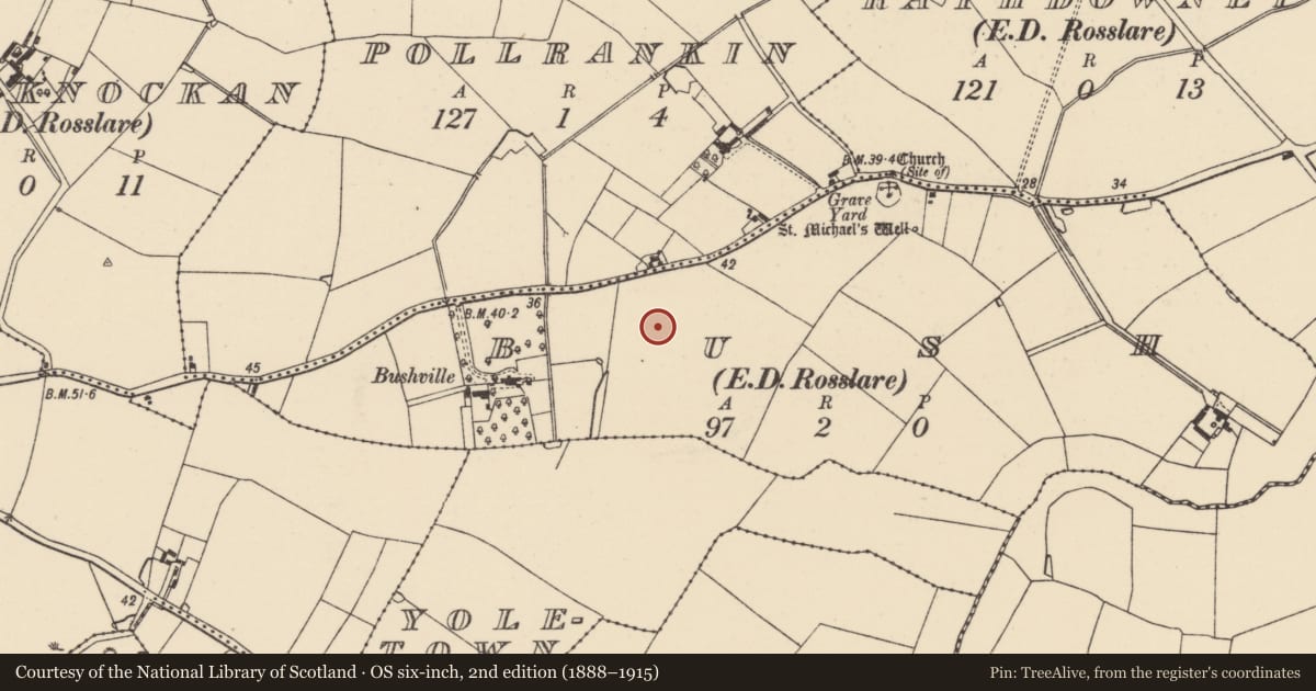 Ordnance Survey six-inch map, 2nd edition (1888–1915) covering the location of Enclosure, Bush, County Wexford, with a pin at the register's coordinates