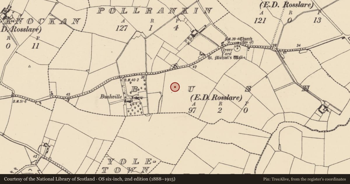 Ordnance Survey six-inch map, 2nd edition (1888–1915) covering the location of Enclosure, Bush, County Wexford, with a pin at the register's coordinates