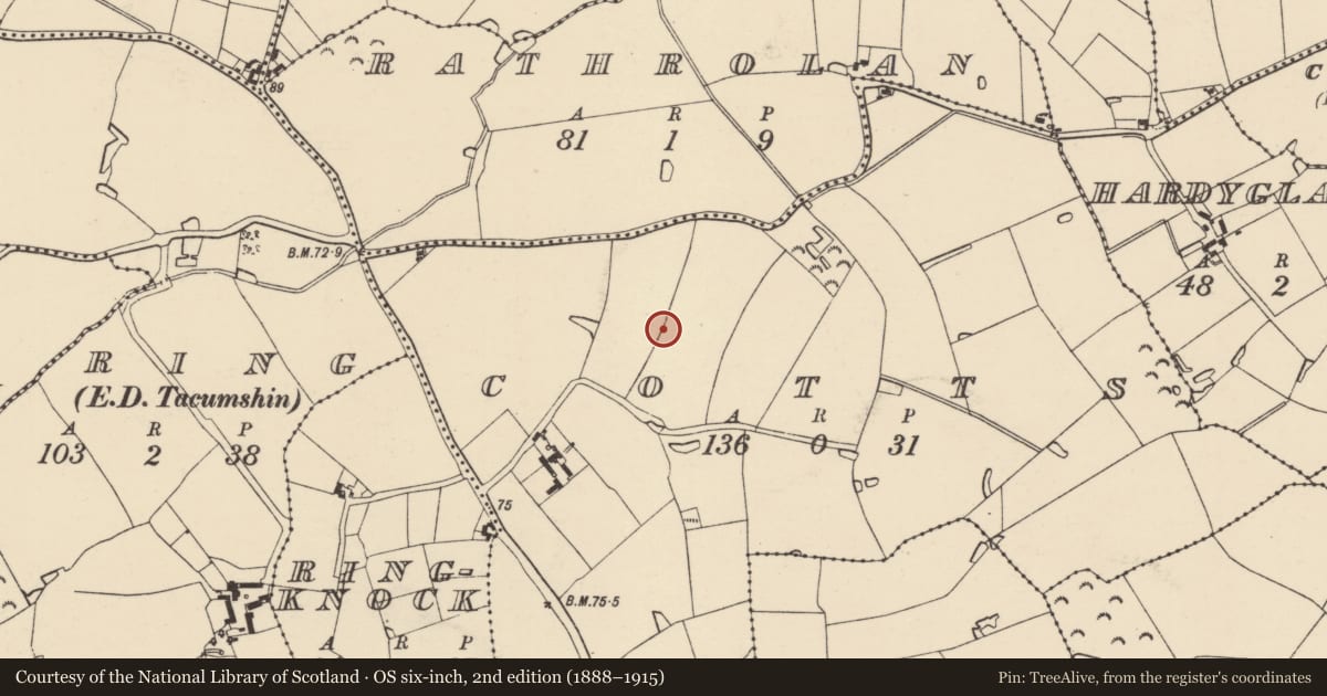 Ordnance Survey six-inch map, 2nd edition (1888–1915) covering the location of Pit, Cotts, County Wexford, with a pin at the register's coordinates