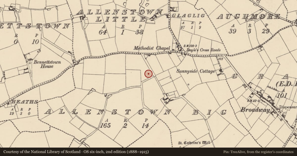 Ordnance Survey six-inch map, 2nd edition (1888–1915) covering the location of Enclosure, Allenstown Big, County Wexford, with a pin at the register's coordinates