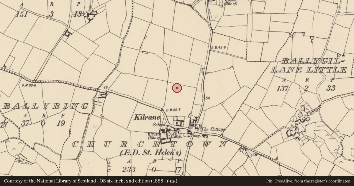 Ordnance Survey six-inch map, 2nd edition (1888–1915) covering the location of Ring-ditch, Churchtown, County Wexford, with a pin at the register's coordinates