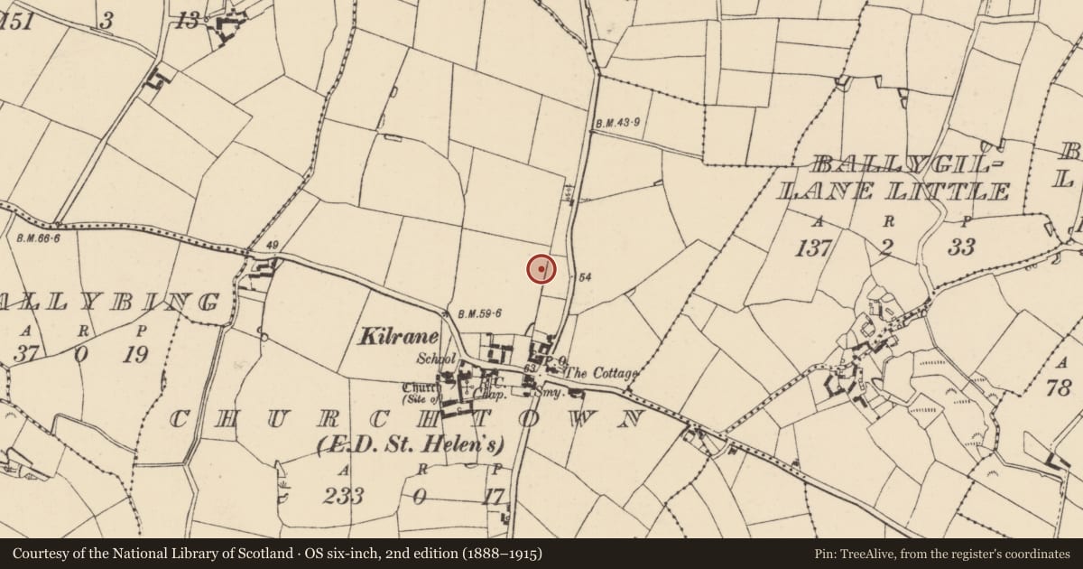 Ordnance Survey six-inch map, 2nd edition (1888–1915) covering the location of Ring-ditch, Churchtown, County Wexford, with a pin at the register's coordinates