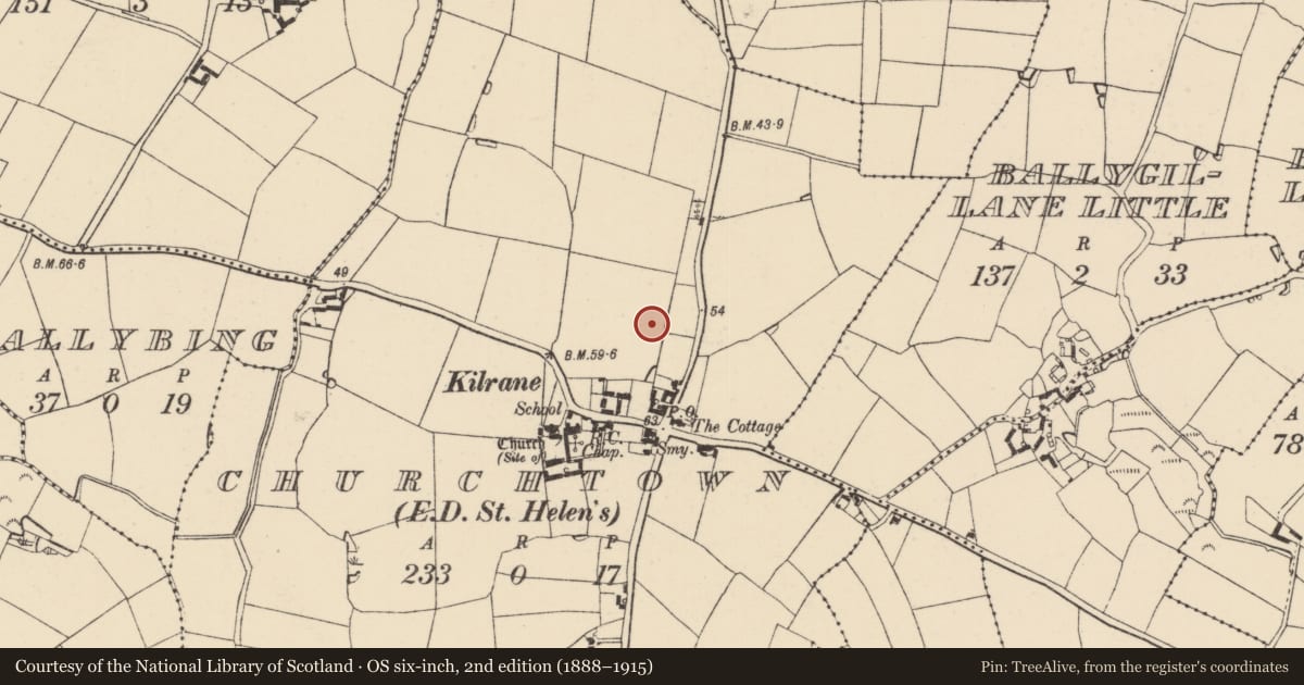 Ordnance Survey six-inch map, 2nd edition (1888–1915) covering the location of Ring-ditch, Churchtown, County Wexford, with a pin at the register's coordinates