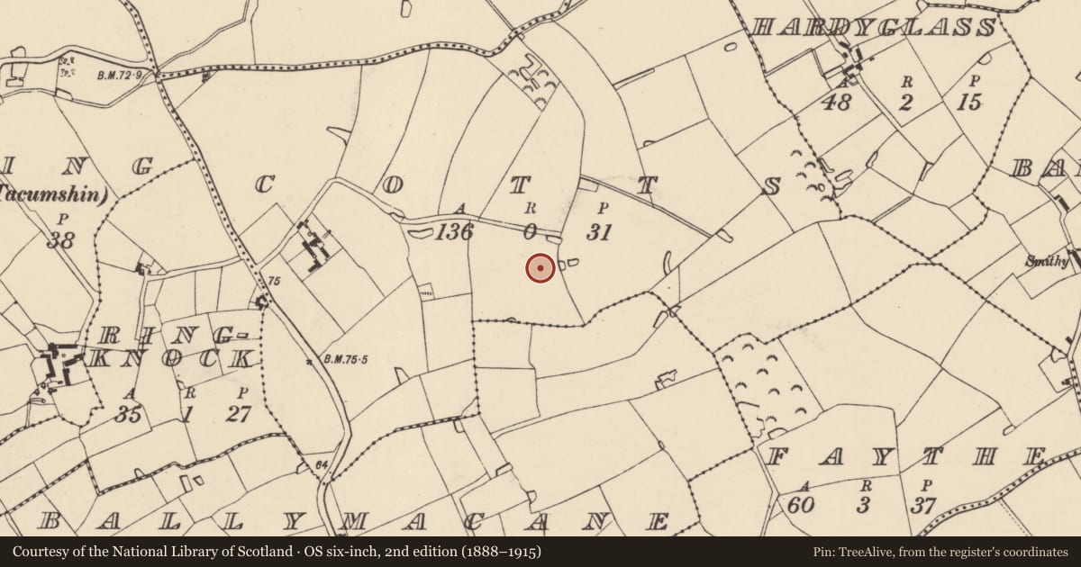 Ordnance Survey six-inch map, 2nd edition (1888–1915) covering the location of Ring-ditch, Cotts, County Wexford, with a pin at the register's coordinates