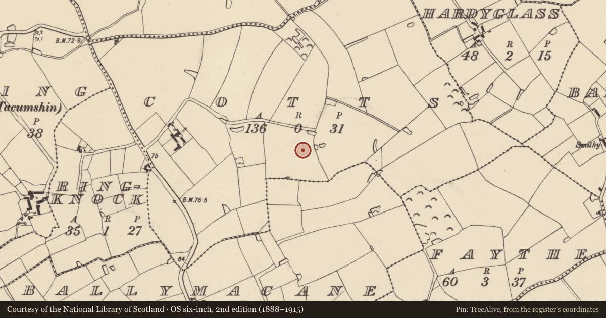 Ordnance Survey six-inch map, 2nd edition (1888–1915) covering the location of Ring-ditch, Cotts, County Wexford, with a pin at the register's coordinates