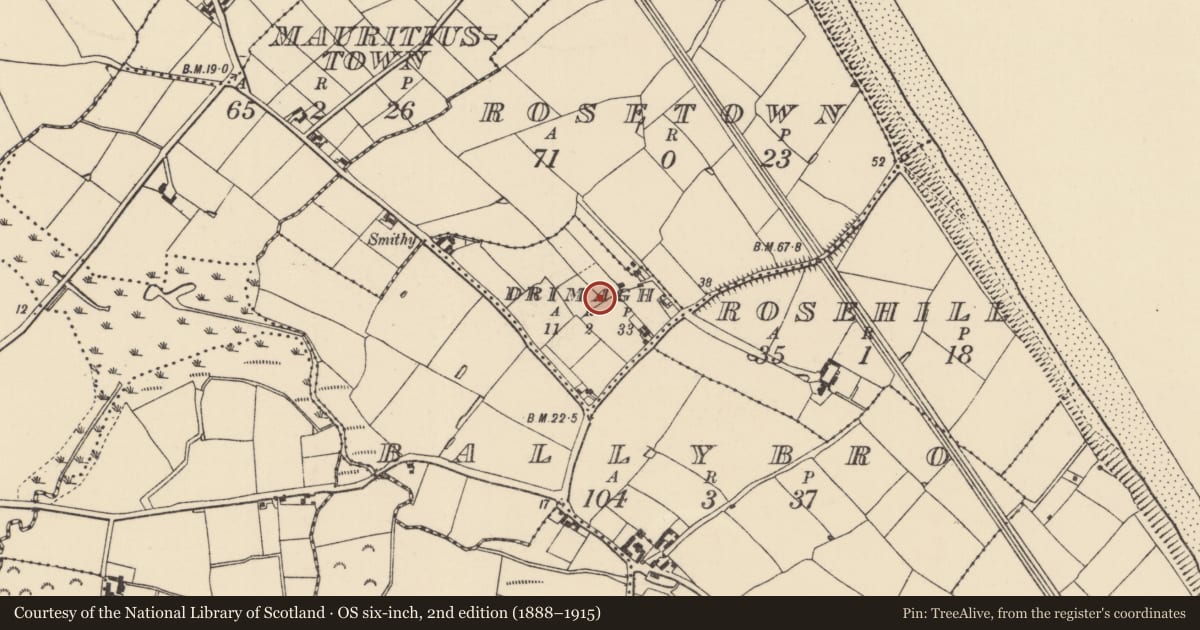 Ordnance Survey six-inch map, 2nd edition (1888–1915) covering the location of Windmill, Drimagh, County Wexford, with a pin at the register's coordinates