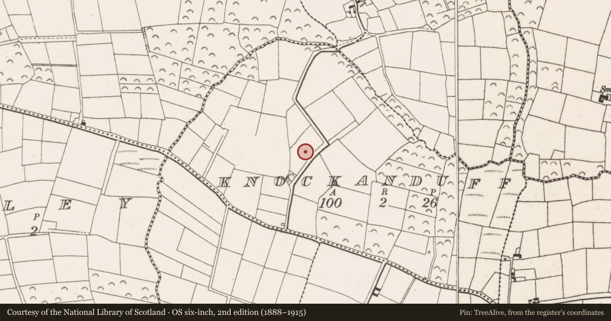 Ordnance Survey six-inch map, 2nd edition (1888–1915) covering the location of Ringfort - rath, Knockanduff, County Wexford, with a pin at the register's coordinates