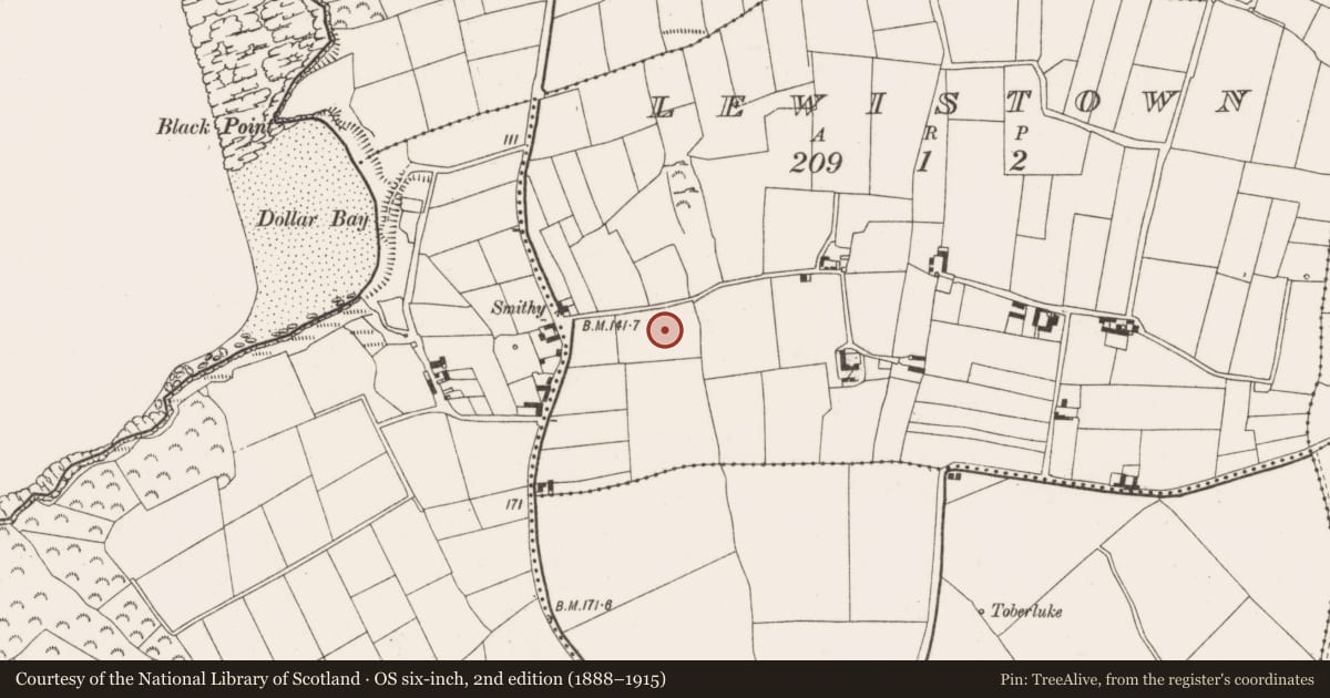 Ordnance Survey six-inch map, 2nd edition (1888–1915) covering the location of Enclosure, Lewistown, County Wexford, with a pin at the register's coordinates