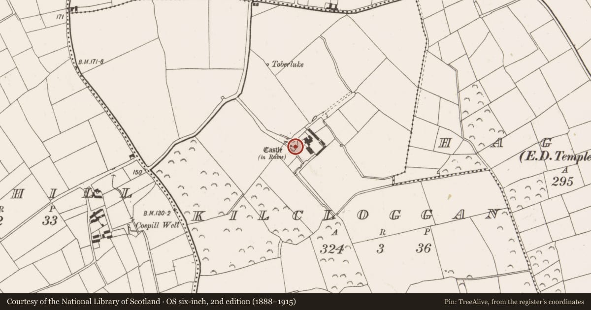 Ordnance Survey six-inch map, 2nd edition (1888–1915) covering the location of Castle - tower house, Kilcloggan, County Wexford, with a pin at the register's coordinates