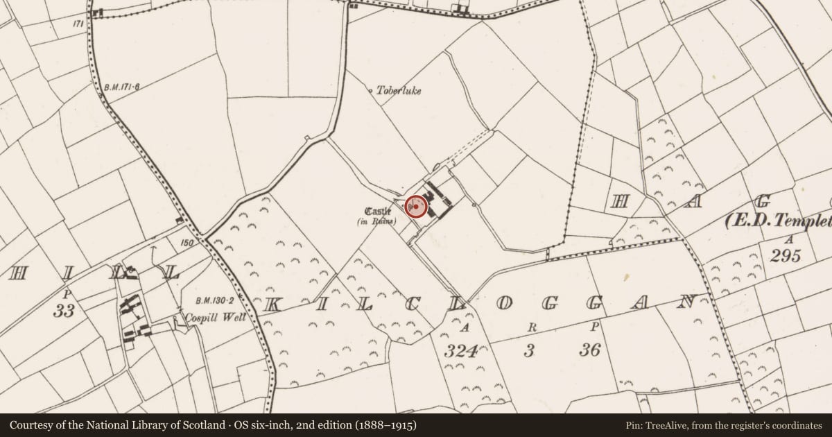 Ordnance Survey six-inch map, 2nd edition (1888–1915) covering the location of Bawn, Kilcloggan, County Wexford, with a pin at the register's coordinates