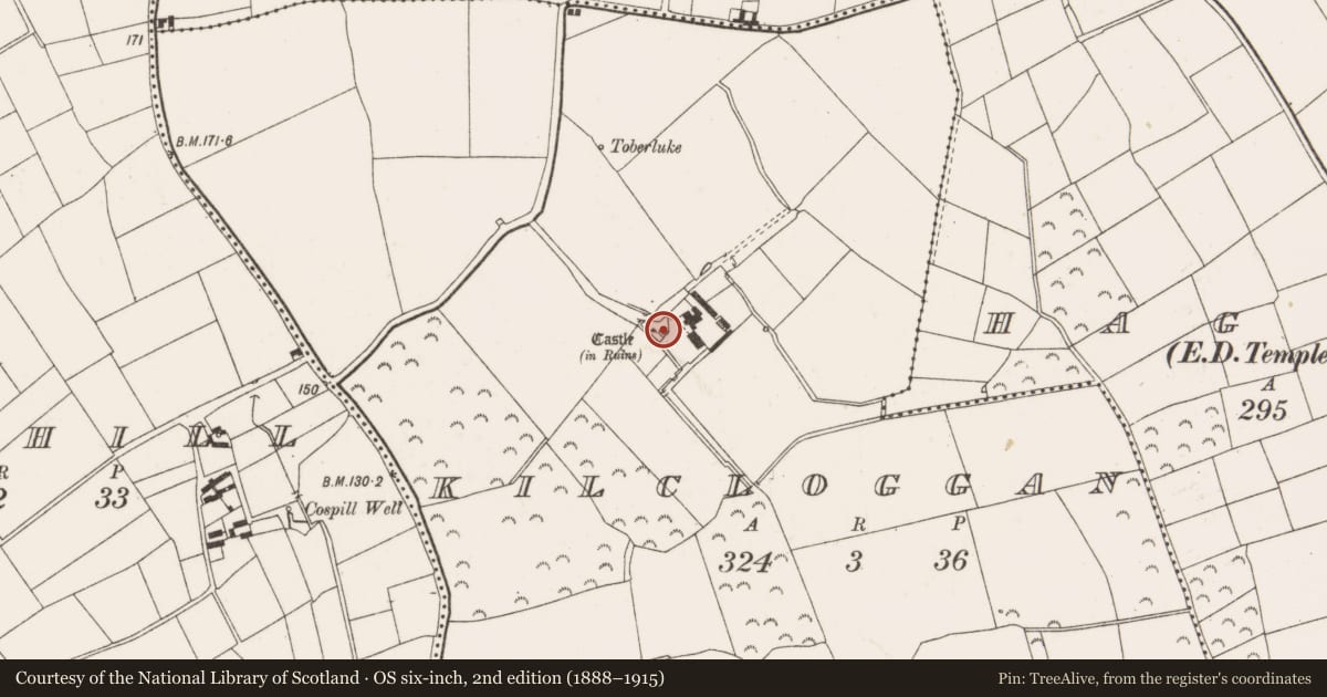 Ordnance Survey six-inch map, 2nd edition (1888–1915) covering the location of Gateway, Kilcloggan, County Wexford, with a pin at the register's coordinates