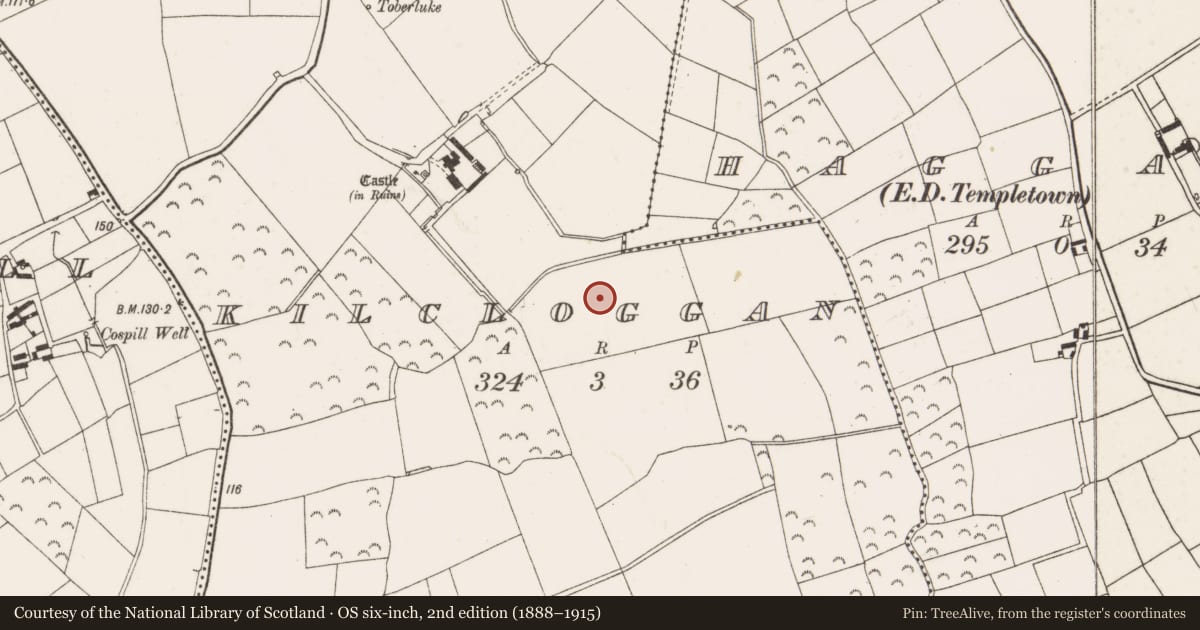 Ordnance Survey six-inch map, 2nd edition (1888–1915) covering the location of Ringfort - rath, Kilcloggan, County Wexford, with a pin at the register's coordinates