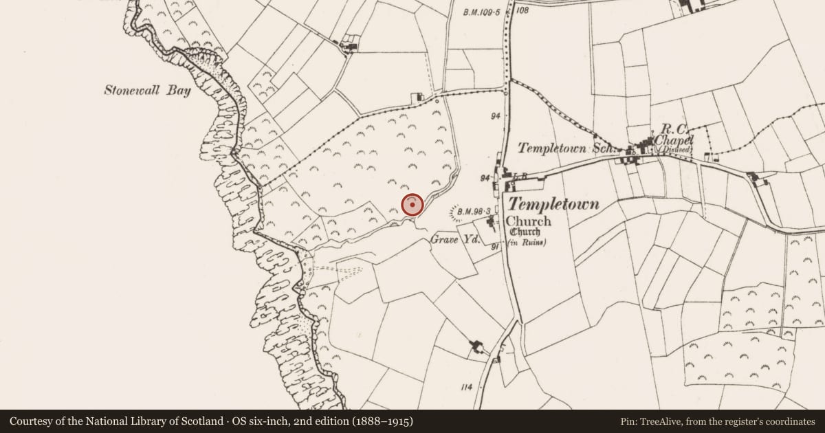 Ordnance Survey six-inch map, 2nd edition (1888–1915) covering the location of Castle - ringwork, Templetown, County Wexford, with a pin at the register's coordinates