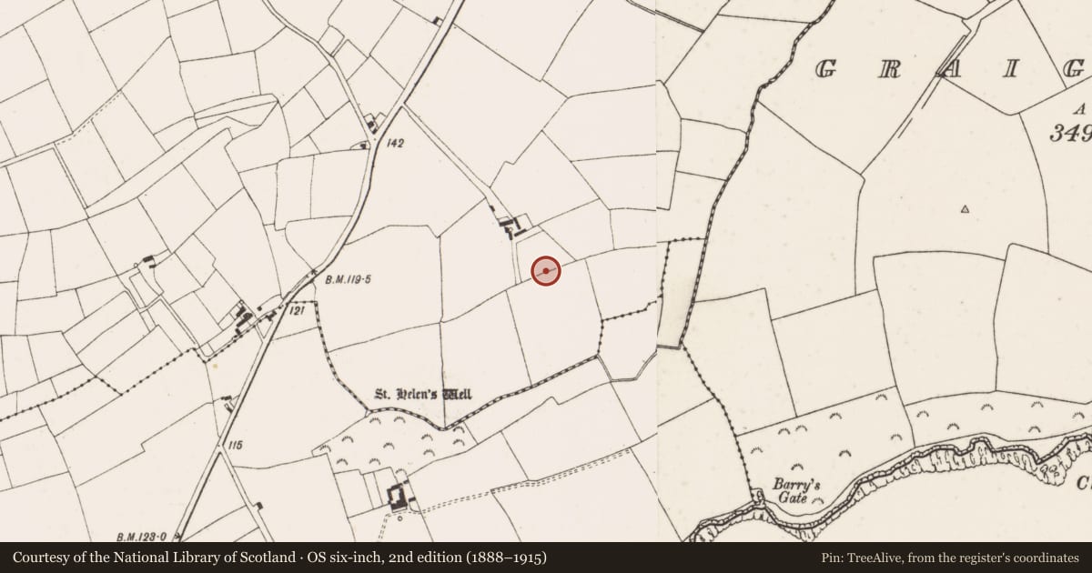 Ordnance Survey six-inch map, 2nd edition (1888–1915) covering the location of Field boundary, Templetown, County Wexford, with a pin at the register's coordinates