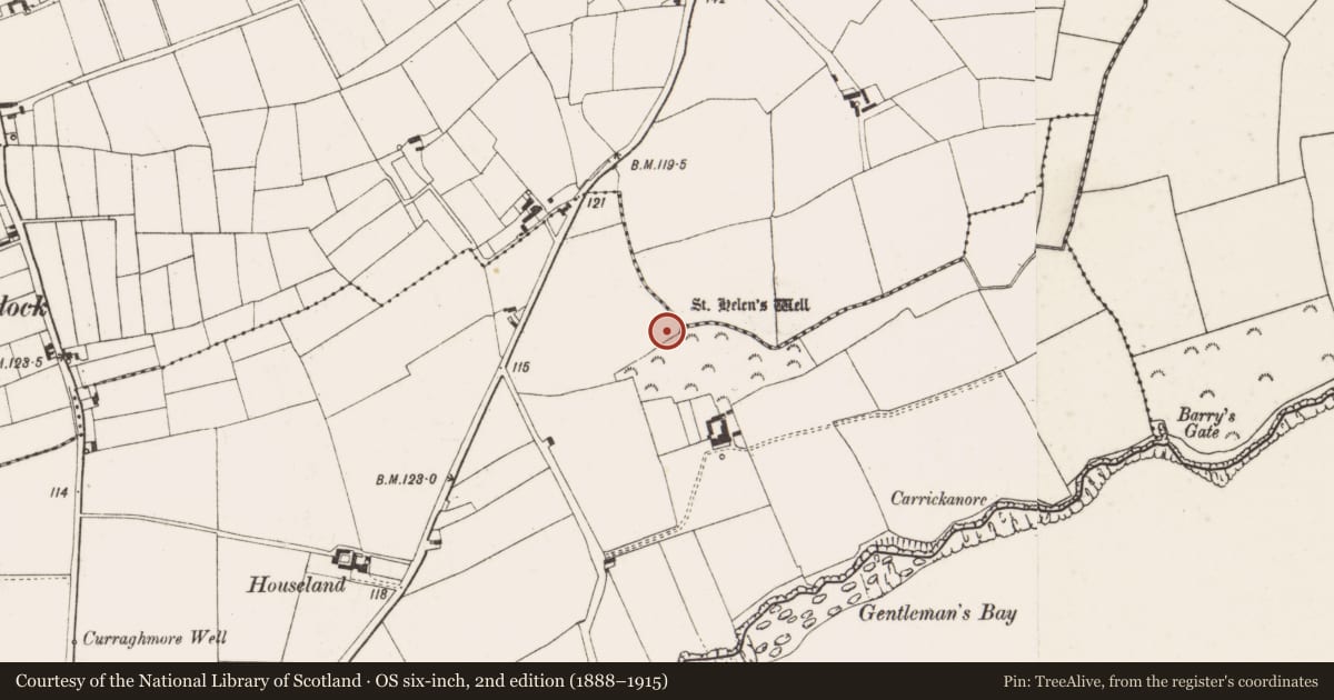 Ordnance Survey six-inch map, 2nd edition (1888–1915) covering the location of Ritual site - holy well, Houseland, County Wexford, with a pin at the register's coordinates