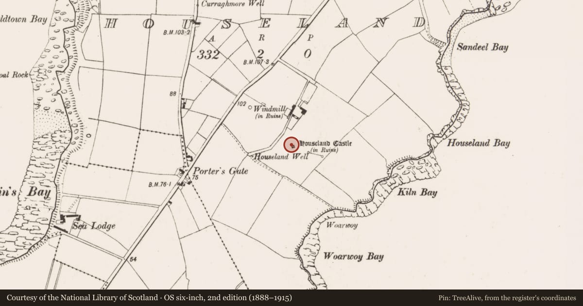 Ordnance Survey six-inch map, 2nd edition (1888–1915) covering the location of Castle - tower house, Houseland, County Wexford, with a pin at the register's coordinates