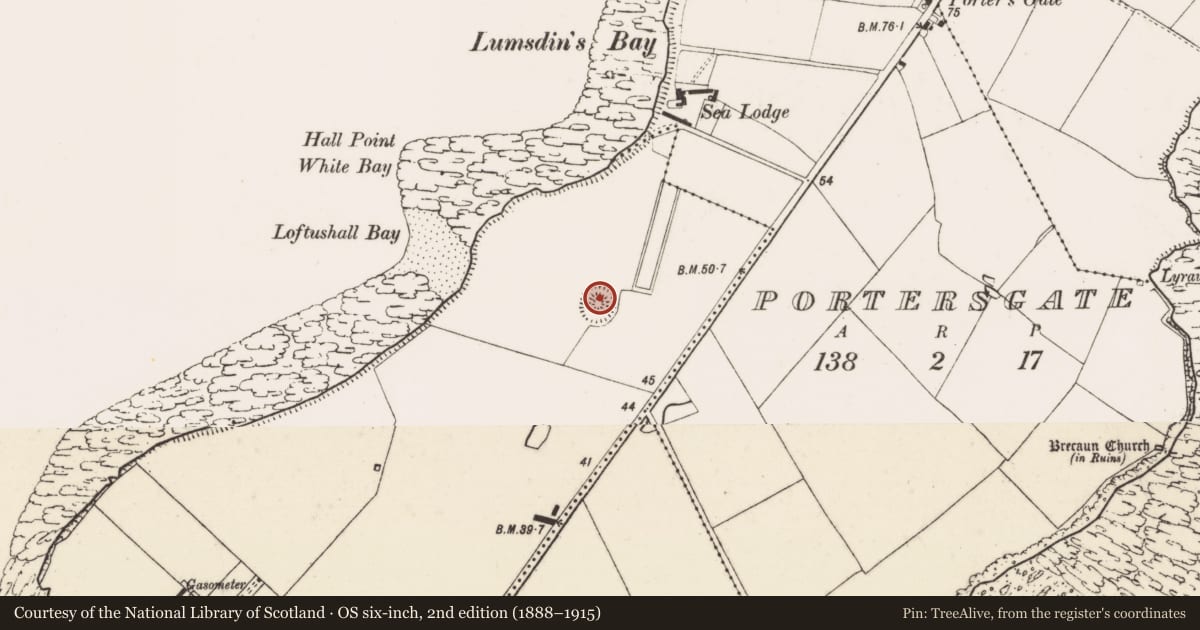 Ordnance Survey six-inch map, 2nd edition (1888–1915) covering the location of Barrow - unclassified, Loftushall, County Wexford, with a pin at the register's coordinates