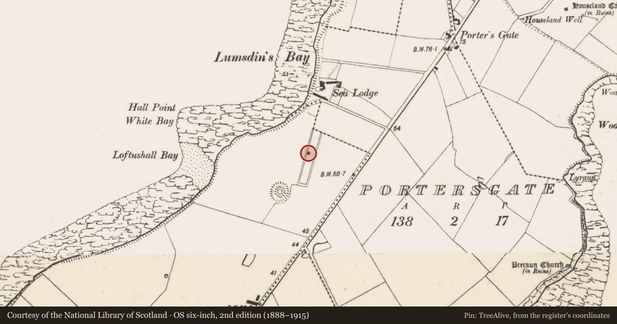 Ordnance Survey six-inch map, 2nd edition (1888–1915) covering the location of Linear earthwork, Loftushall, County Wexford, with a pin at the register's coordinates