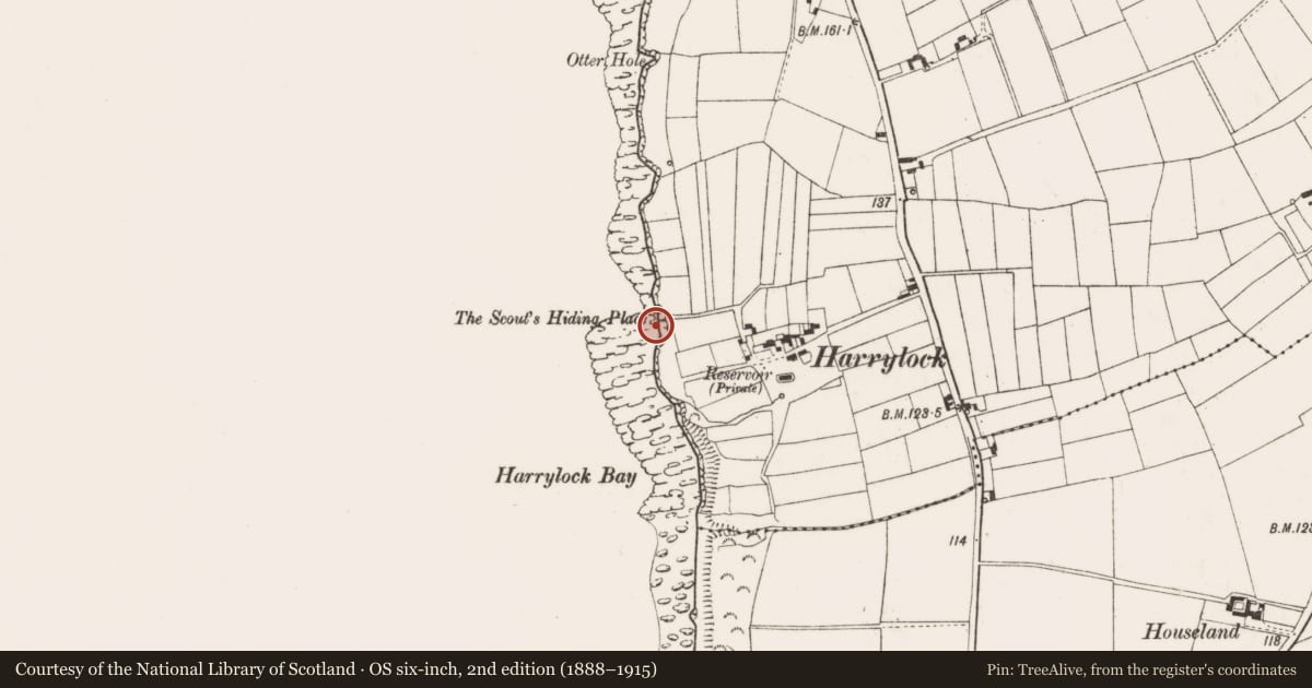 Ordnance Survey six-inch map, 2nd edition (1888–1915) covering the location of Millstone quarry, Templetown, County Wexford, with a pin at the register's coordinates